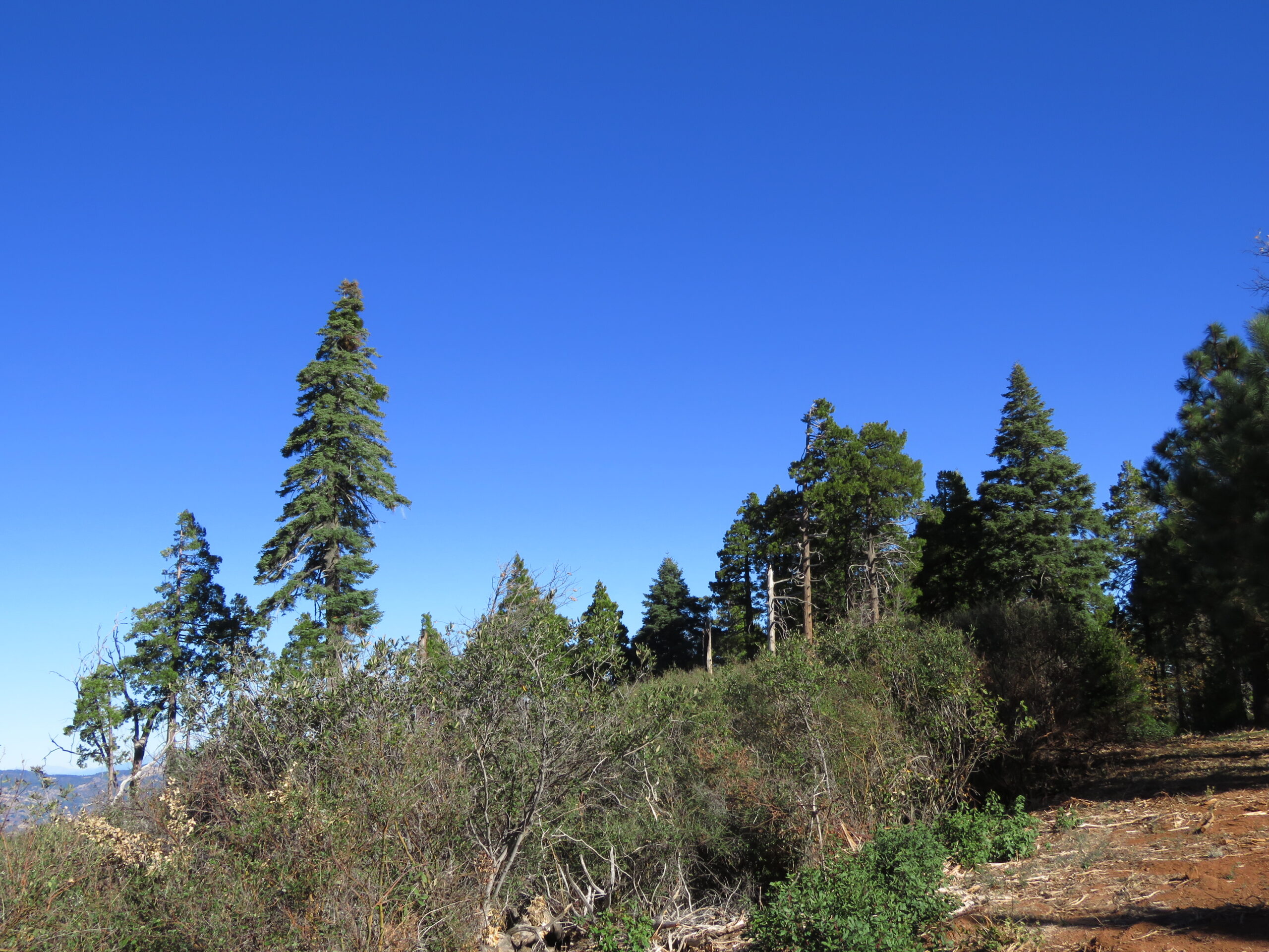 Vacant land in Cuyamaca Woods