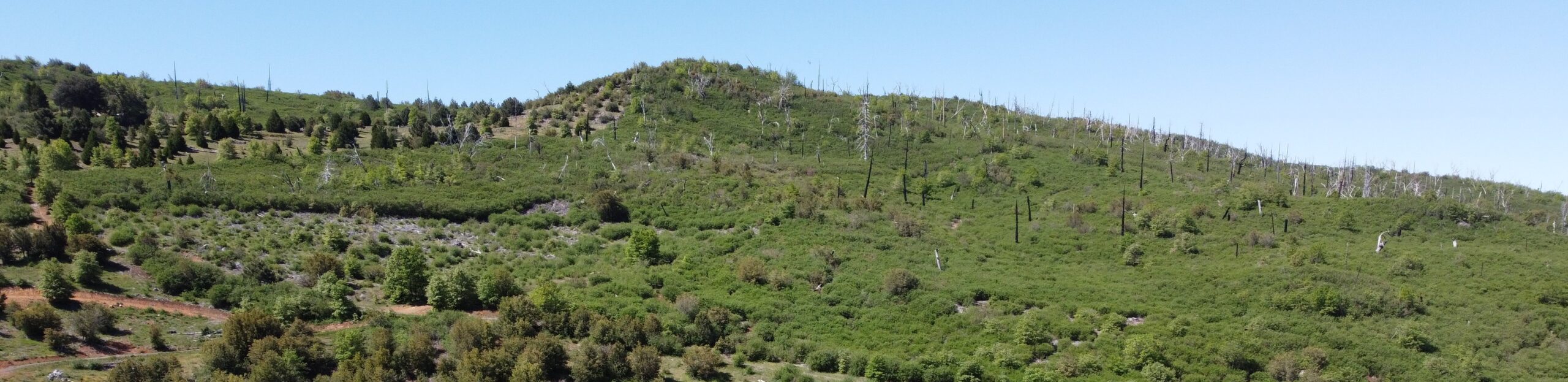 Panoramic view of upper and lower parcels from the north