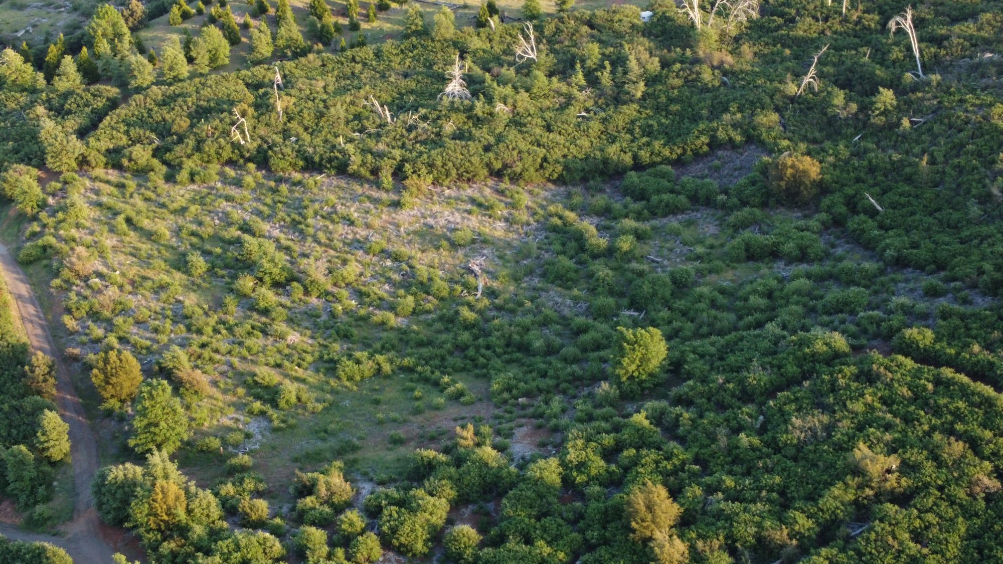 Drone view of upper parcel on Iron Springs Road