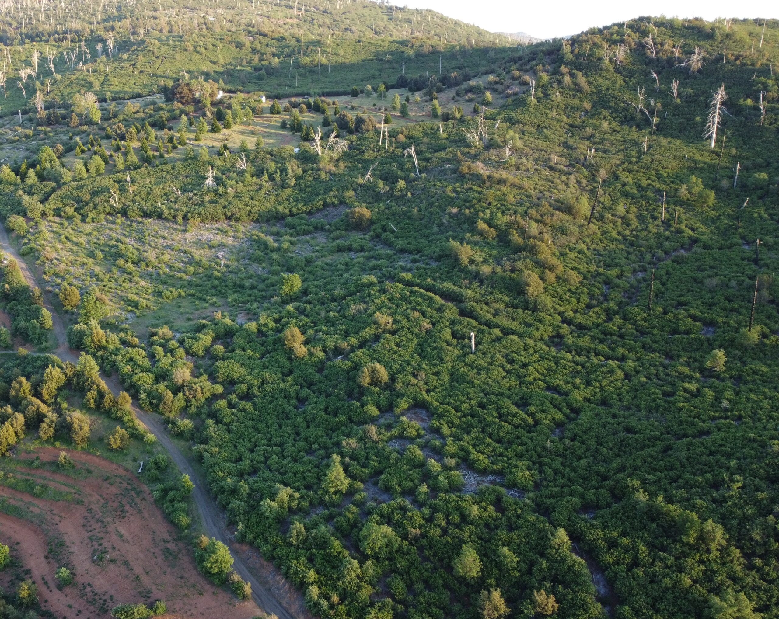 Overhead view of upper and lower parcels on Iron Springs Road