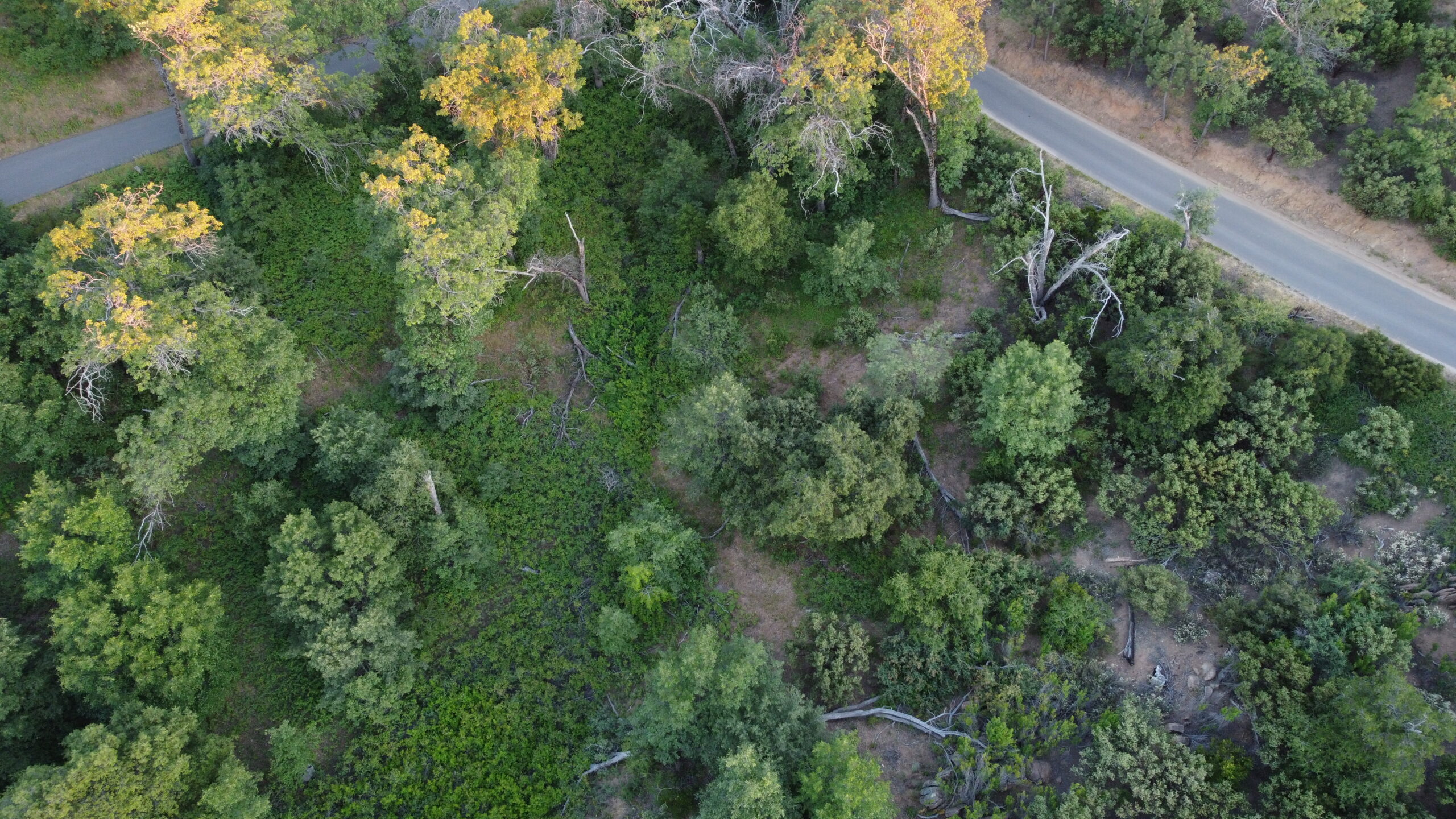 Eagle Peak Road Vacant Land