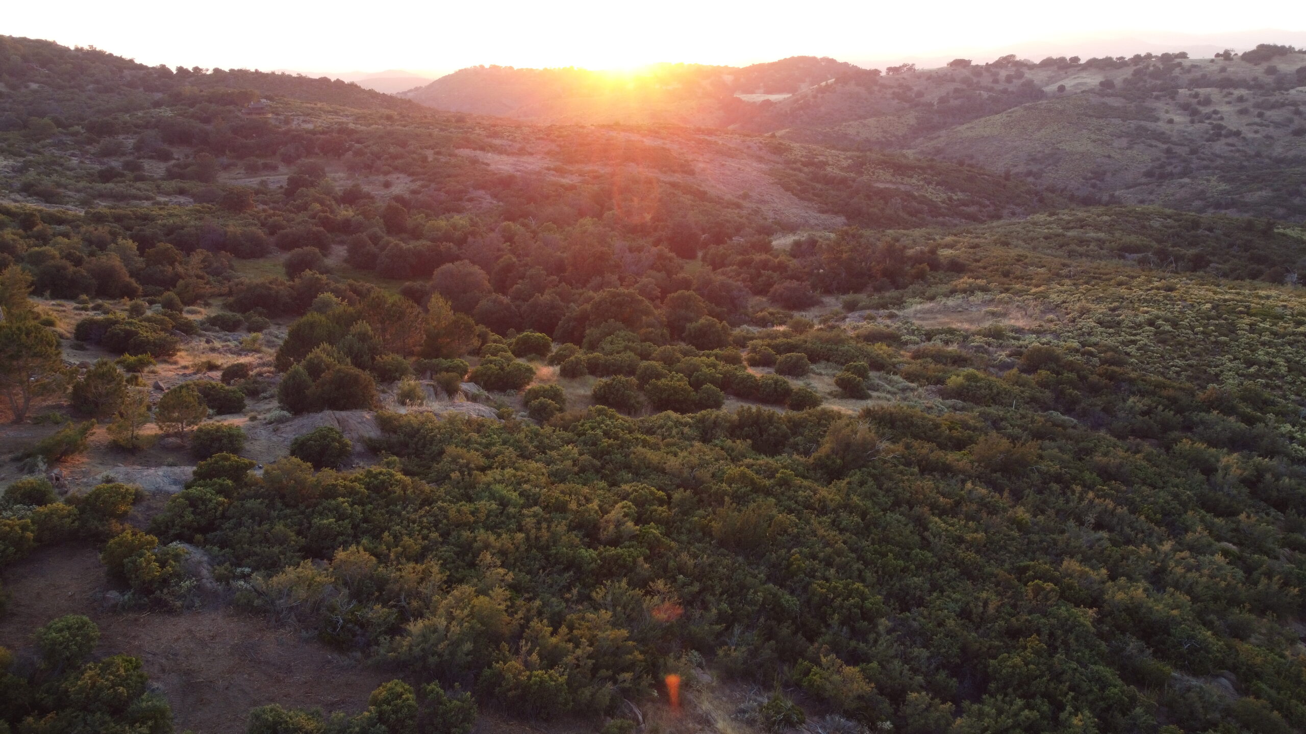 Overhead sunset