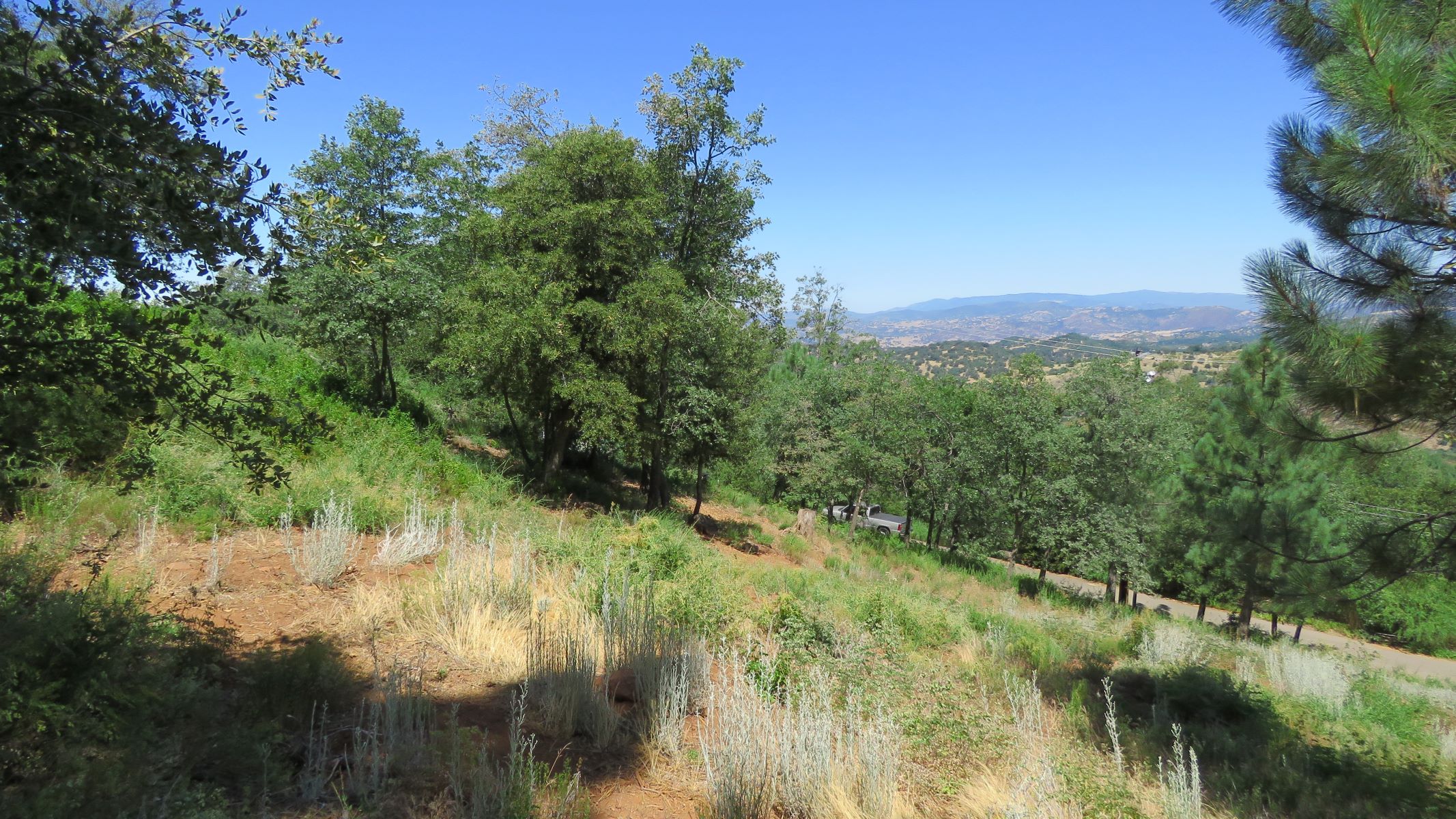 Vacant land with mountain view