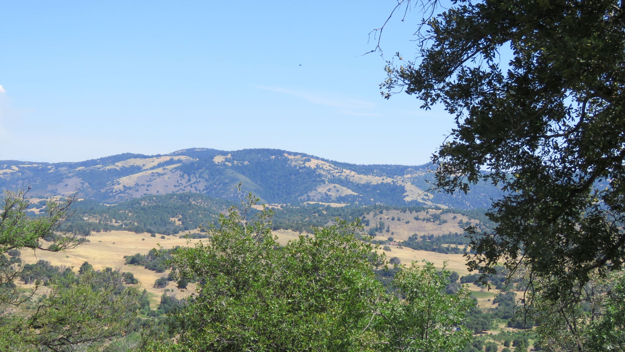 View from Oak Grove Drive Julian CA 